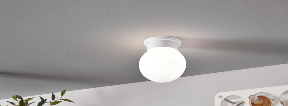 uitrusting woestenij heilig Plafondlampen met E27 fitting Bestel nu | EGLO Shop